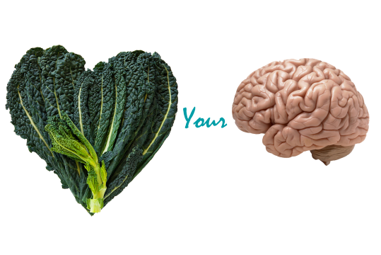 benefits of kale & your brain
